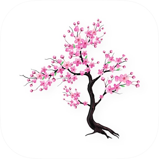 Timefully - Meditation Timer: Arvostelu ja esittely